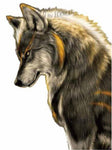 Tatouage Temporaire Loup <br> Alpha - Loup-Faction